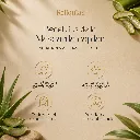 23.webp