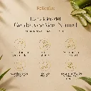 11.webp