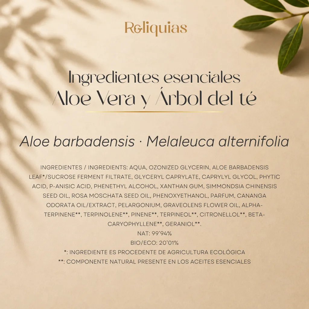 16.webp