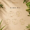 31.webp